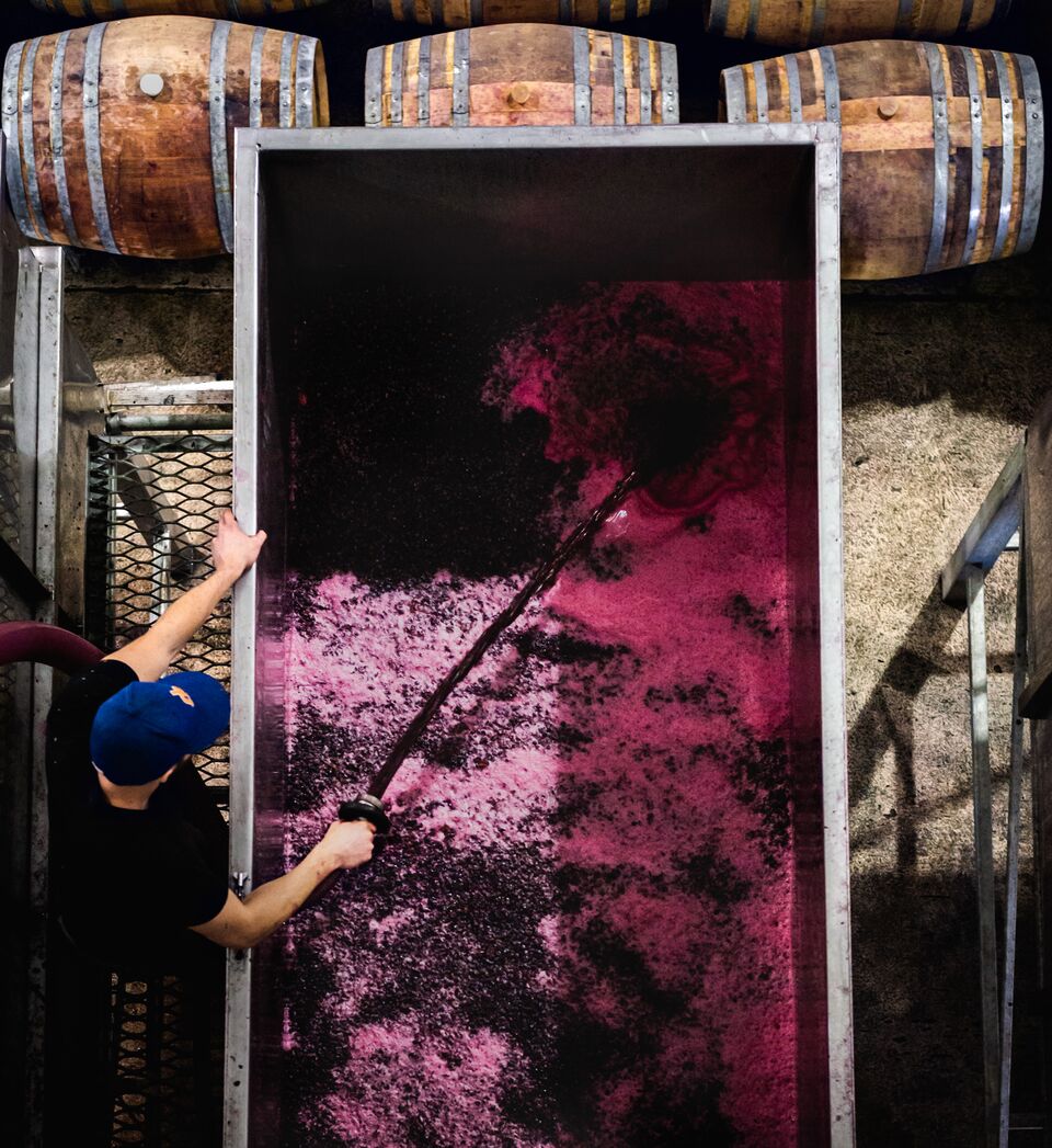 Rolf Binder Wines Winemaking