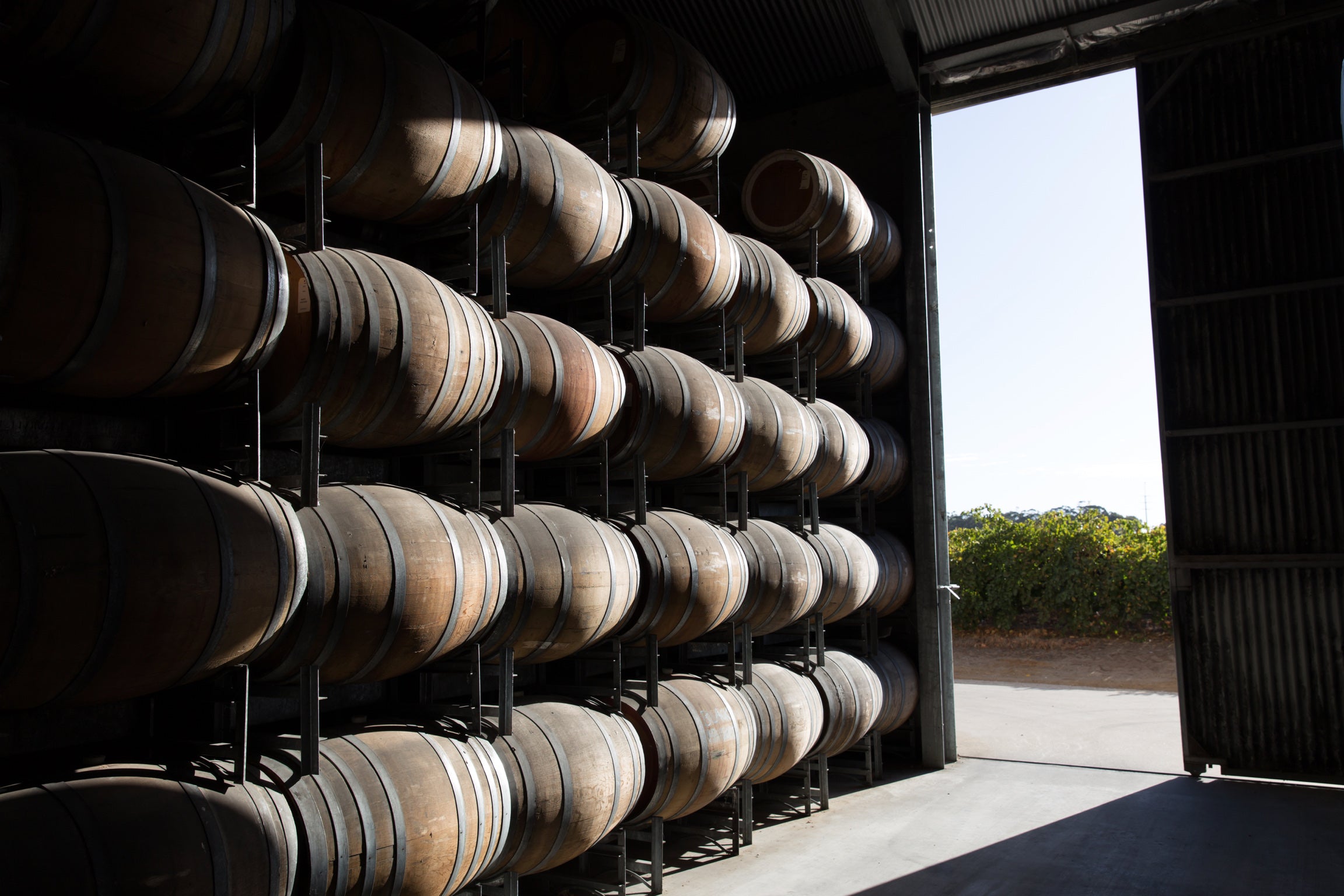 Rolf Binder Wines Barrels